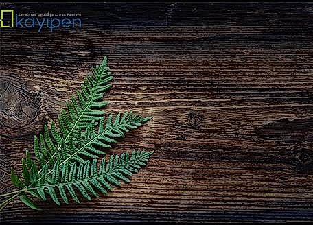 NEDEN AHŞAP