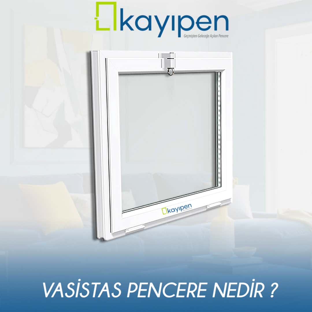 VASİSTAS NEDİR?